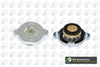 BGA Radiator Cap CC3047 thumbnail