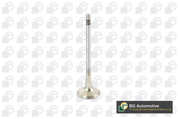BGA Exhaust Valve V229667 - image 2