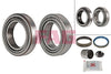 FAG Wheel Bearing Kit 713667300 thumbnail