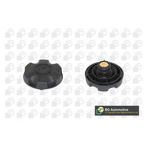 BGA Radiator Cap CC3057