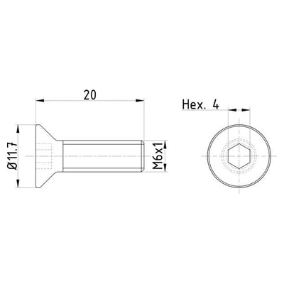 Textar Brake Disc Bolt Screw Front Or Rear M6 Set Of 2 TPM0015 Mintex