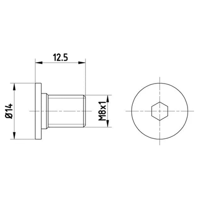 Textar Brake Disc Bolt Screw Front Or Rear M8 Set Of 2 TPM0002 Mintex