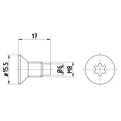Textar Brake Disc Bolt Screw Front Or Rear M8 Set Of 2 TPM0004 Mintex