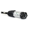 Arnott Air Suspension Strut Rear Left AS-3750 thumbnail