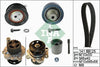 INA Timing Belt Kit & Water Pump 530036131 thumbnail