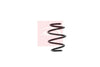 Apec Coil Spring ACS1568 thumbnail