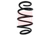 Apec Coil Spring ACS1721 thumbnail