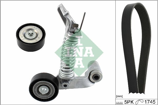 INA Drive Belt Kit 529031910 - image 2