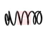 Apec Coil Spring ACS1901 thumbnail