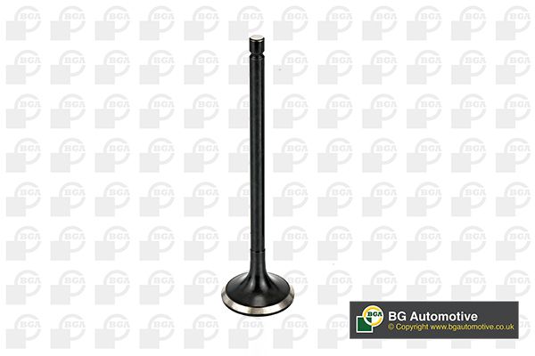 BGA Exhaust Valve V166041 - image 2