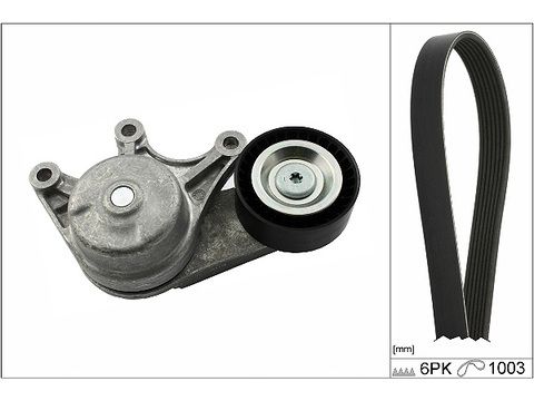 INA Drive Belt Kit 529048310 - image 2