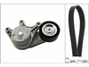 INA Drive Belt Kit 529048310 thumbnail