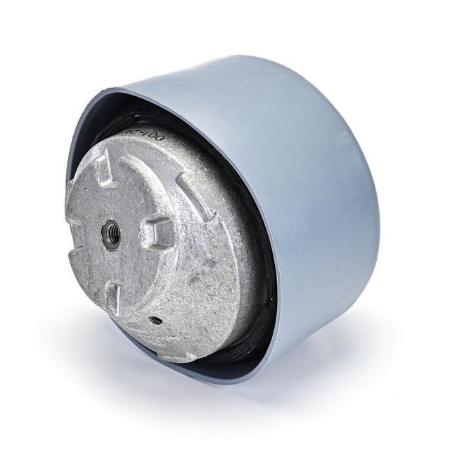 Delphi Engine Mount TEM202 - image 5