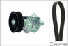 INA Drive Belt Kit 529016110 thumbnail