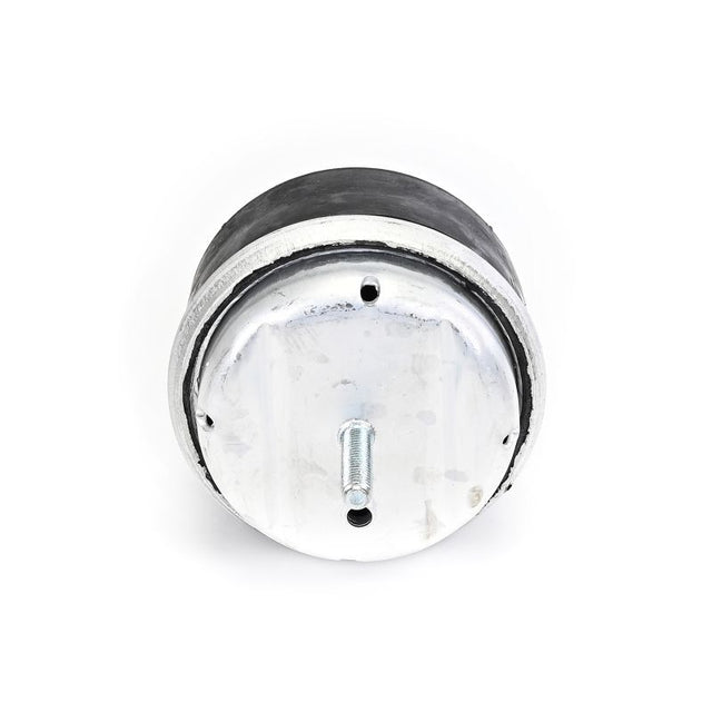 Delphi Engine Mount TEM239 - image 2