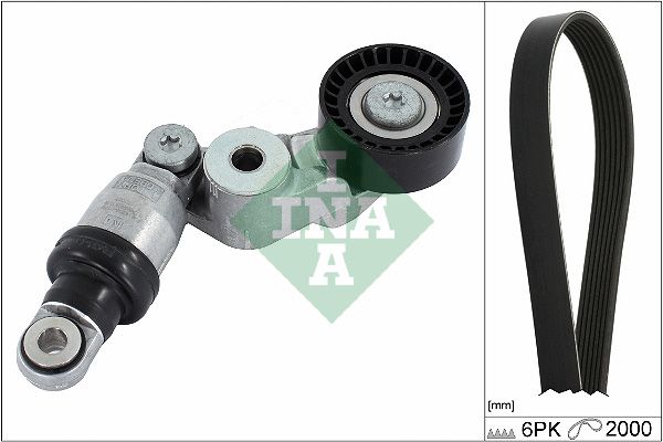 INA Drive Belt Kit 529041310 - image 2