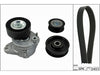 INA Drive Belt Kit 529003410 thumbnail