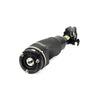 Arnott Air Suspension Strut Front Right AS-2797 thumbnail