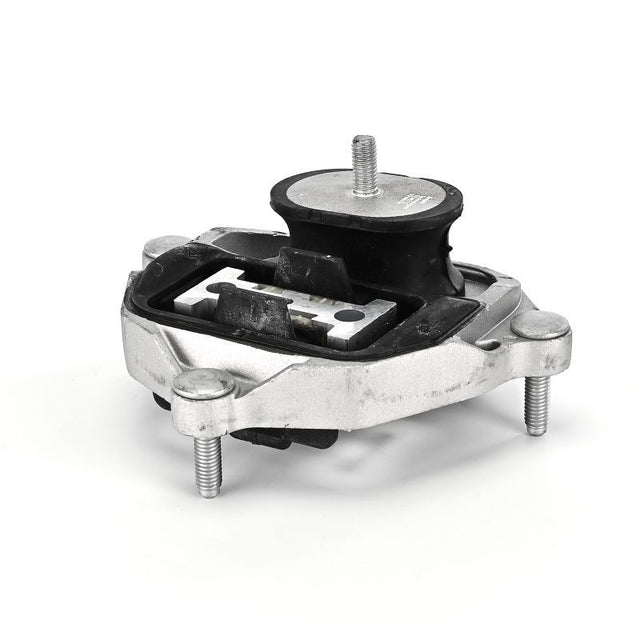 Delphi Engine Mount TEM275 - image 4