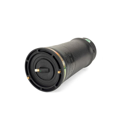 Arnott Air Spring Rear A-2202
