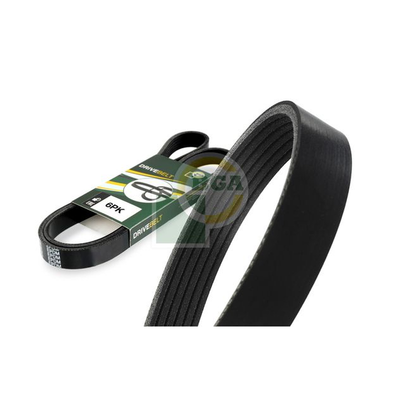 Dayco V-ribbed Belt 6PK1815