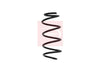 Apec Coil Spring ACS1572 thumbnail