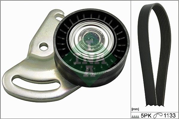 INA Drive Belt Kit 529017810 - image 2