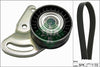 INA Drive Belt Kit 529017810 thumbnail