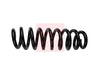Apec Coil Spring ACS1912 thumbnail