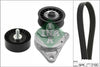 INA Drive Belt Kit 529038510 thumbnail