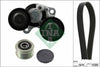 INA Drive Belt Kit 529020620 thumbnail