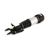 Arnott Air Suspension Strut Front Right AS-2785 thumbnail
