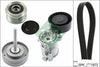 INA Drive Belt Kit 529009020 thumbnail