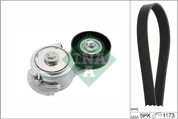 INA Drive Belt Kit 529047810 - image 2