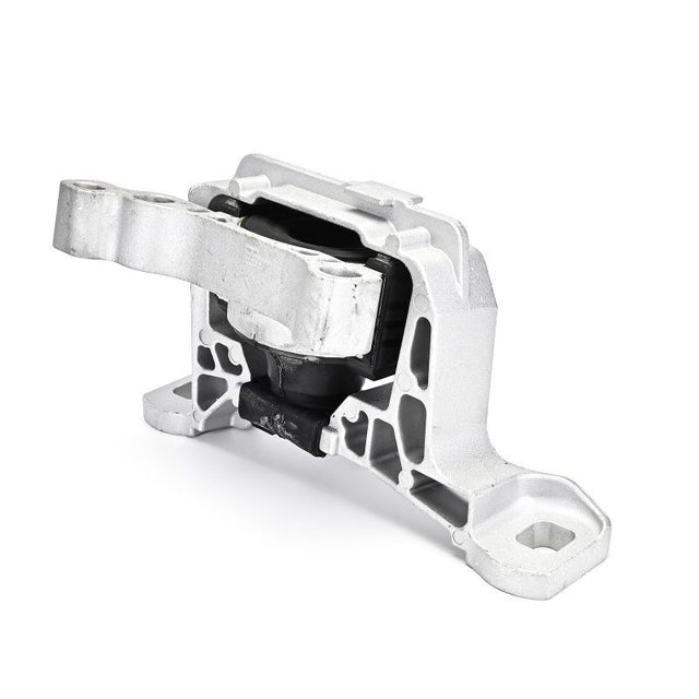 Delphi Engine Mount TEM137 - image 5