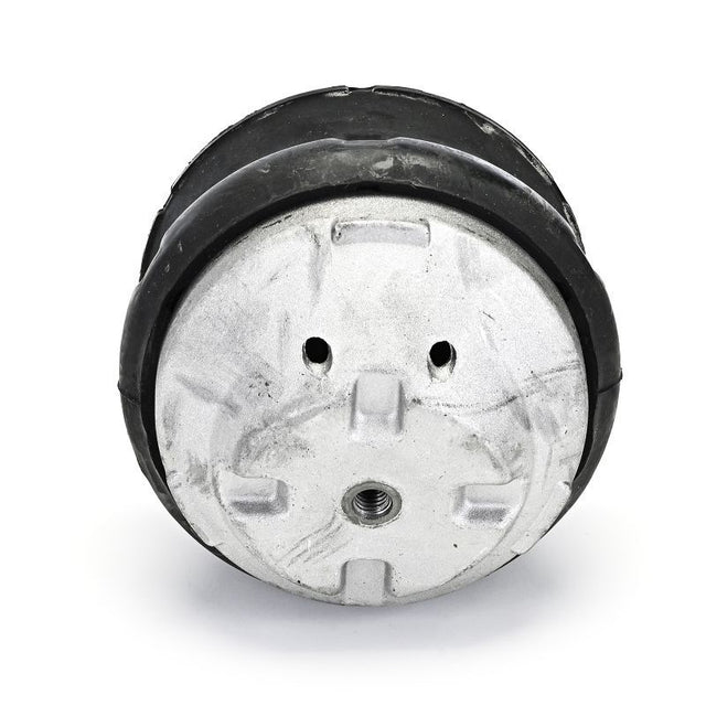 Delphi Engine Mount TEM132 - image 2