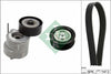 INA Drive Belt Kit 529030510 thumbnail