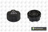 BGA Radiator Cap CC3164 thumbnail