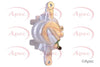 Apec Brake Caliper RCA342N thumbnail