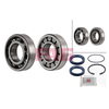 FAG Wheel Bearing Kit 713611530 thumbnail