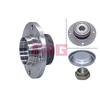 FAG Wheel Bearing Kit 713640030 thumbnail