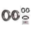 FAG Wheel Bearing Kit 713645030 thumbnail