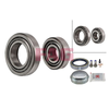 FAG Wheel Bearing Kit 713667370 thumbnail