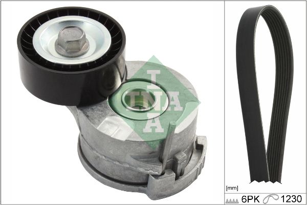 INA Drive Belt Kit 529029210 - image 2