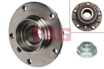 FAG Wheel Bearing Kit 713667190