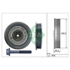INA Crankshaft Pulley (tvd) 544050620 thumbnail