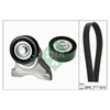INA Drive Belt Kit 529000710 thumbnail