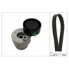 INA Drive Belt Kit 529000910 thumbnail