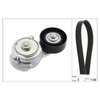 INA Drive Belt Kit 529001310 thumbnail