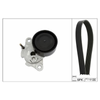 INA Drive Belt Kit 529008510 thumbnail